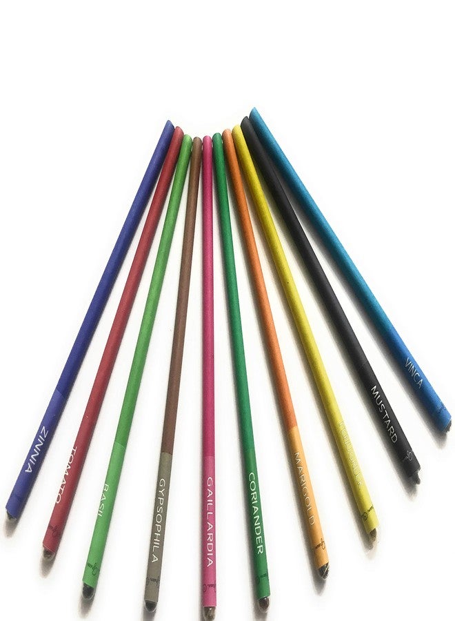 THE GREEN CHAPTER Ecofriendly Plantable Seed Pencils Pack of 10|100% Recycled Paper Colored Drawing Pencils for Artwork Office Art - Image 2